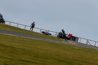 PJ-Motorsport-2019;anglesey-no-limits-trackday;anglesey-photographs;anglesey-trackday-photographs;enduro-digital-images;event-digital-images;eventdigitalimages;no-limits-trackdays;peter-wileman-photography;racing-digital-images;trac-mon;trackday-digital-images;trackday-photos;ty-croes